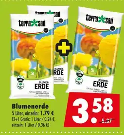 Mäc Geiz Terrasan blumenerde Angebot
