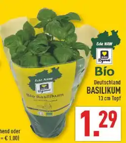 Marktkauf Bio basilikum Angebot