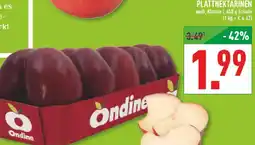 Marktkauf Ondine plattnektarinen Angebot