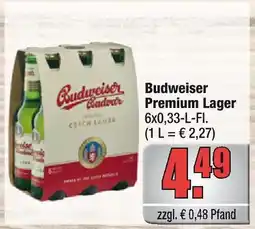 alldrink Budweiser premium lager Angebot