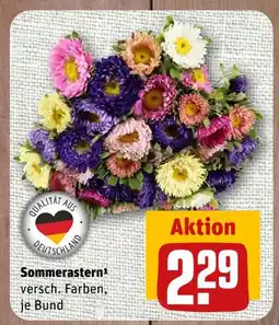 nahkauf Sommerastern Angebot