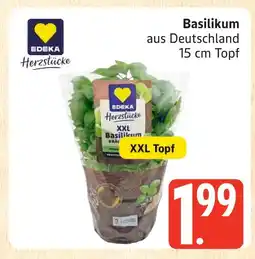 Marktkauf Edeka herzstücke basilikum Angebot