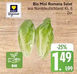 Marktkauf Edeka regional mini romana salat Angebot