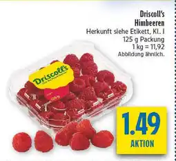 diska Himbeeren Angebot