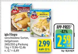 diska Iglo filegro Angebot