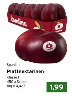 CAP Markt Plattnektarinen Angebot