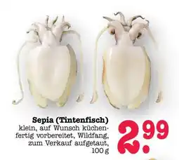 Scheck-in-Center Sepia (Tintenfisch) Angebot