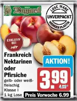 HIT Frankreich Nektarinen oder Pfirsiche Angebot