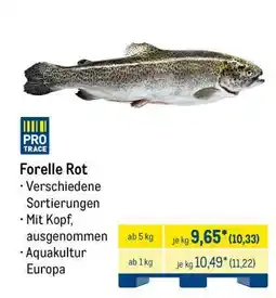 METRO Forelle Rot Angebot