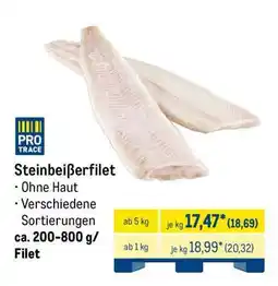 METRO Steinbeißerfilet Angebot