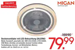 Zurbrüggen MICAN Deckenventilator mit LED-Beleuchtung SALERNO Angebot