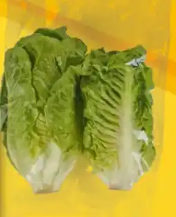 EDEKA Bandelt Bio Mini Romanasalat Angebot