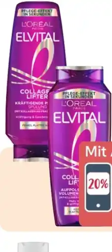 Rossmann L'Oréal Paris Elvital Premium Shampoo Angebot
