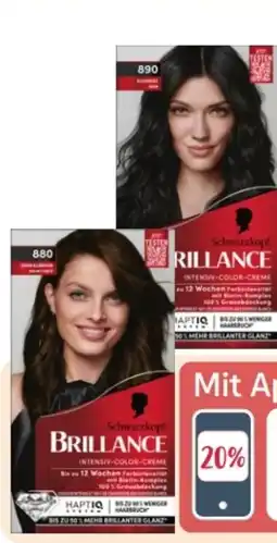 Rossmann Schwarzkopf Brillance Coloration Angebot
