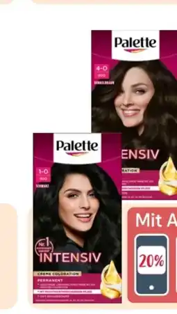 Rossmann Palette Intensive-Creme-Coloration Angebot