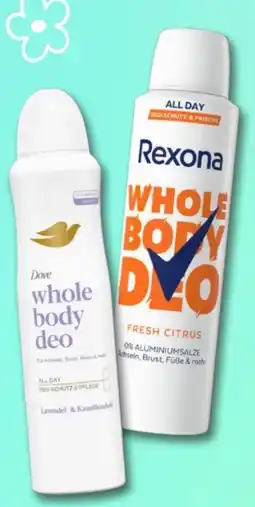 Rossmann Dove Whole Body Deospray Angebot