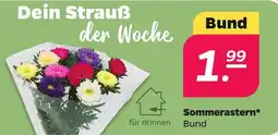 Netto Sommerastern* Bund Angebot