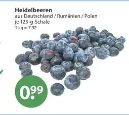 V Markt Heidelbeeren Angebot