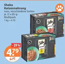 V Markt Sheba katzennahrung Angebot