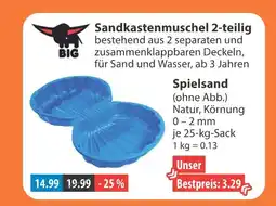V Markt Big sandkastenmuschel Angebot