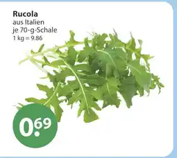 V Markt Rucola Angebot