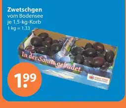 V Markt Zwetschgen Angebot