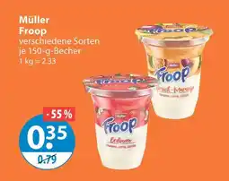 V Markt Müller froop erdbeer Angebot