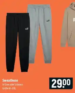 Famila Nord Ost Puma Sweathose Angebot