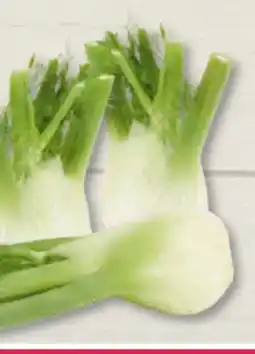 Edeka Frischemarkt Fenchel Angebot