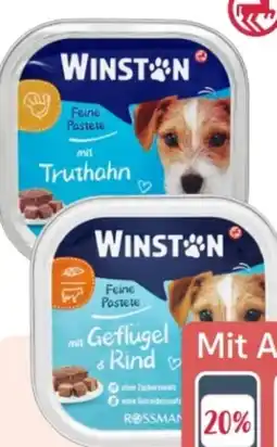 Rossmann Winston Gourmet Hund Feine Pastete Angebot