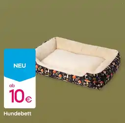 PEPCO Hundebett Angebot
