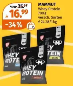 Müller MAMMUT Whey Protein Angebot