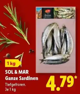 Lidl SOL & MAR Ganze Sardinen Angebot