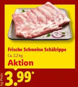 Lidl Frische Schweine Schälrippe Angebot