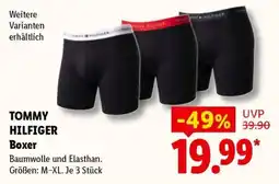 Lidl TOMMY HILFIGER Boxer Angebot