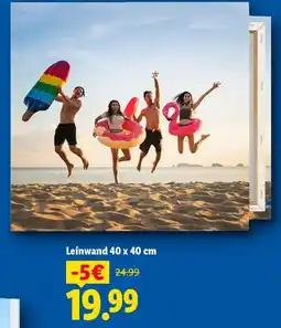 Lidl Leinwand Angebot
