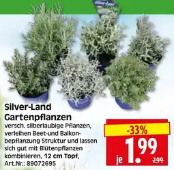 Herkules Baumarkt Silver-Land Gartenpflanzen Angebot
