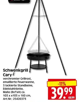 Herkules Baumarkt Schwenkgrill Cary Angebot