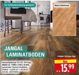 Herkules Baumarkt JANGAL LAMINATBODEN Angebot