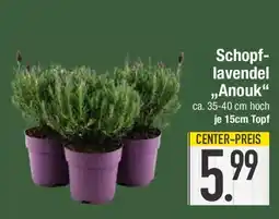 E-Center Schopf- lavendel ,,Anouk Angebot
