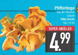 E-Center Pfifferlinge Angebot