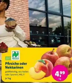 Denns BioMarkt Pfirsiche oder Nektarinen Angebot