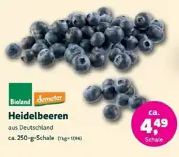 Denns BioMarkt Heidelbeeren Angebot