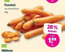 Denns BioMarkt Fenchel Angebot