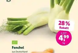 Denns BioMarkt Fenchel Angebot