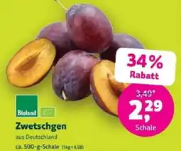 Denns BioMarkt Bioland Zwetschgen Angebot