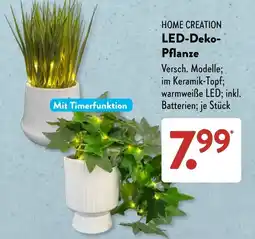 Aldi Süd HOME CREATION LED-Deko-Pflanze Angebot