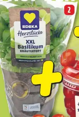 Edeka24 EDEKA Herzstücke XXL-Basilikum Angebot