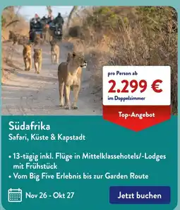 Aldi Süd Südafrika Safari, Küste & Kapstadt Angebot