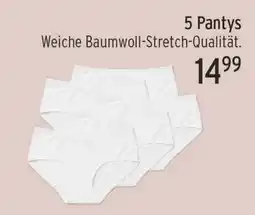 Edeka24 5 Pantys Angebot